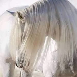 Meet your Posher, Marcy